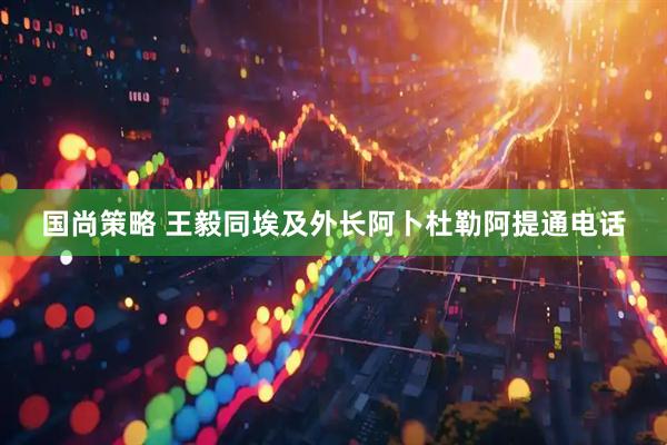 国尚策略 王毅同埃及外长阿卜杜勒阿提通电话