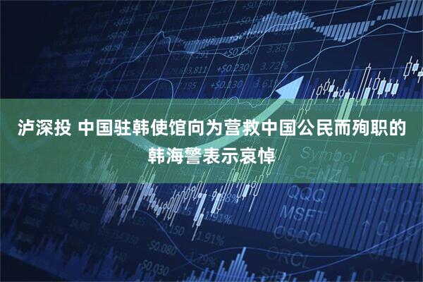 泸深投 中国驻韩使馆向为营救中国公民而殉职的韩海警表示哀悼