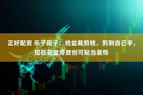正好配资 乐子段子：给盆栽剪枝，剪到自己手，现在花盆旁放创可贴当装饰